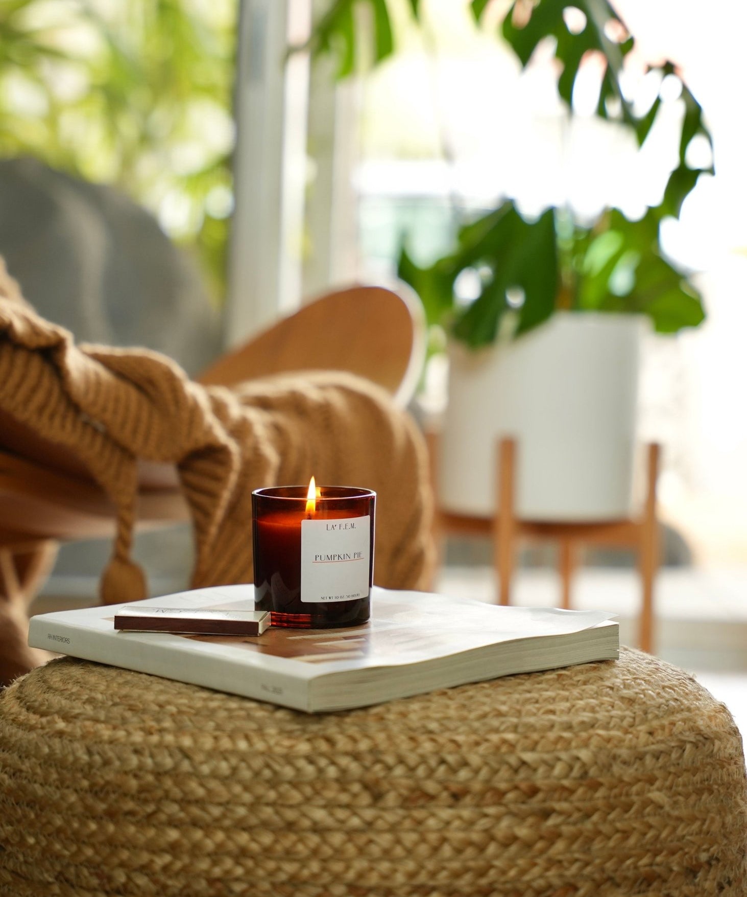 Pumpkin Pie - Simone The Label